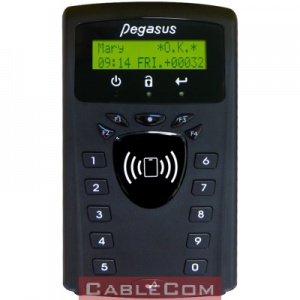 Мрежов контролер с вграден LAN интерфейс Pegasus PP-3702P/NT